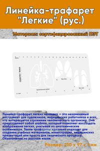 Линейка-трафарет Легкие