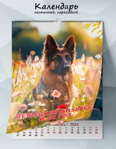 Календарь настенный, перекидной Немецкая овчарка и ее год на 2025 год