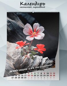 Календарь настенный, перекидной Живущие среди камней на 2025 год