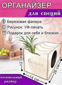 Органайзер для специй Гармония эстетики, 4 отсека, 12х14х26 см