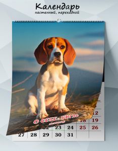 Календарь настенный, перекидной О себе: Бигль на 2025 год