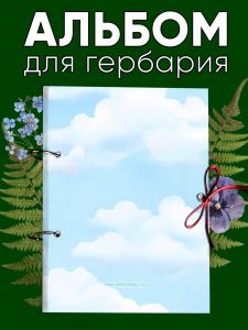 Альбом для гербария и коллекционирования трав, цветов и растений с калькой Облака