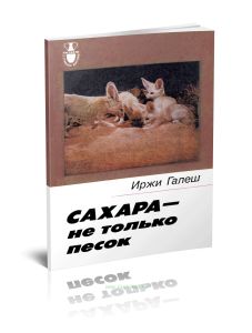 Сахара - не только песок