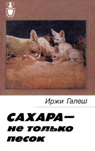 Сахара - не только песок