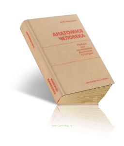 Анатомия человека. С основами динамической и спортивной морфологии