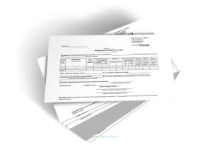 Акт инвентаризации хлебопродуктов и мешков Форма № ЗПП-172