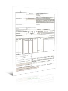 Авиационная грузовая накладная. Air Waybill