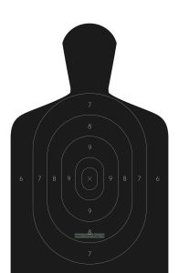 Мишень для пулевой стрельбы. Мишень №9 Интерпол