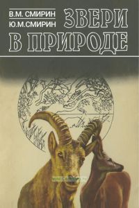 Звери в природе