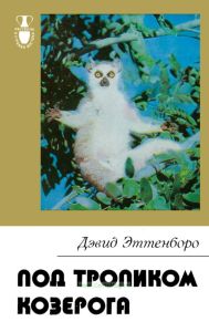 Под тропиком козерога