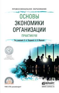 Основы экономики организации