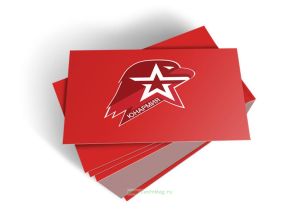 Удостоверение юнармейца