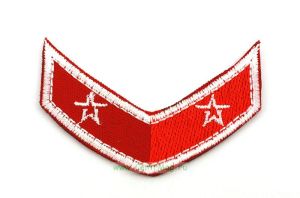 Нарукавная нашивка Юнармия (1,9 х 6 см, с двумя звездами)