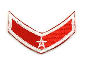Нарукавная нашивка Юнармия (1,4 х 6 см, с одной звездой)