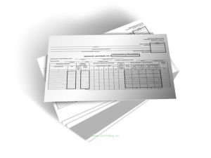 Дневной заборный лист (Форма № ОП-6) 100 шт