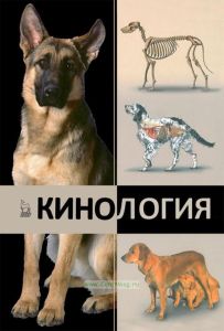 Кинология