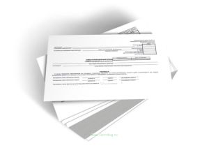 Инвентаризационная опись товарно-материальных ценностей (Форма ИНВ-3)