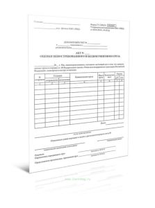 Акт оценки невостребованного и бездокументного груза (Форма ГУ-21ВЦЭ)