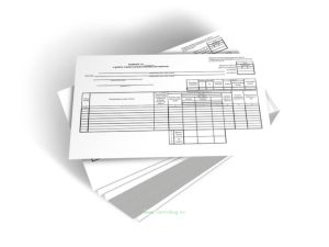 Рапорт о работе строительной машины (механизма) (Форма ЭСМ-3) - 100шт