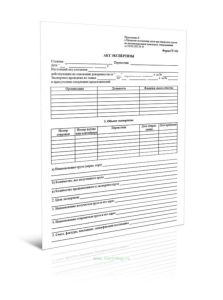 Акт экспертизы (Форма ГУ-104)