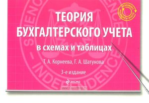 Теория бухгалтерского учета в схемах и таблицах