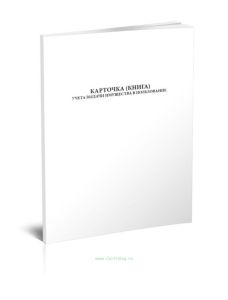 Карточка (книга) учета выдачи имущества в пользование (Форма по ОКУД 0504206)