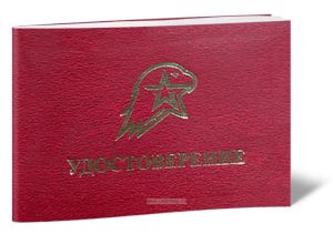 Удостоверение Юнармия