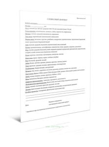 Словесный портрет