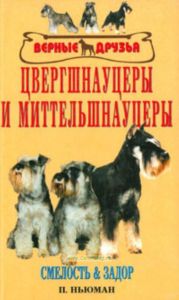 Цвергшнауцеры и миттельшнауцеры