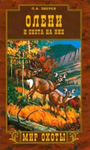 Олени и охота на них