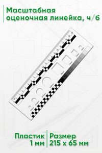 Масштабная оценочная линейка, чб 20 см.