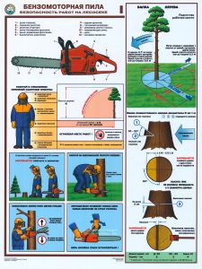 Комплект плакатов Бензомоторная пила. Безопасность работ на лесосеке (3 листа, 61х45 см)