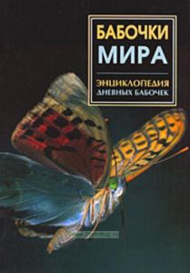 Бабочки мира.Энциклопедия дневных бабочек
