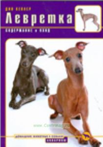 Левретка. Содержание и уход