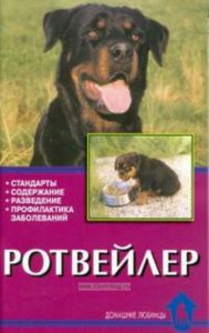Ротвейлер. Стандарты. Содержание. Профилактика заболеваний
