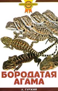 Бородатая агама