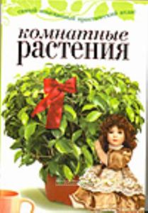 Комнатные растения.