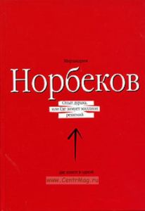 Опыт дурака, или Где зимует миллион решений