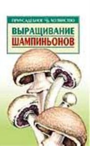 Выращивание шампиньонов