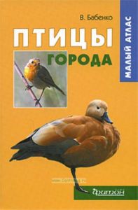 Птицы города. Малый атлас