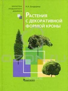 Растения с декоративной формой кроны