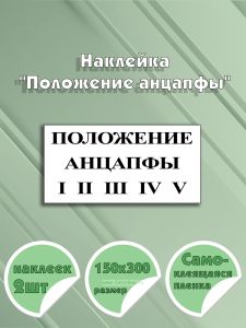 Наклейка Положение анцапфы 15 х 30 см