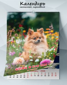 Календарь настенный, перекидной Шпиц и его год на 2026 год
