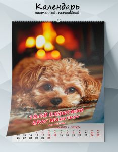 Календарь настенный, перекидной Твой плюшевый друг Мальтипу на 2026 год