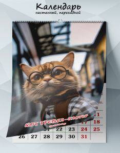 Календарь настенный, перекидной Кот тревел-блогер на 2026 год