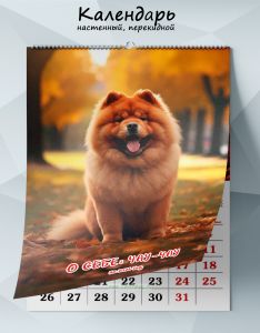 Календарь настенный, перекидной О себе: Чау-чау на 2026 год