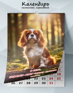 Календарь настенный, перекидной О себе: Кавалер-кинг-чарльз-спаниель на 2026 год