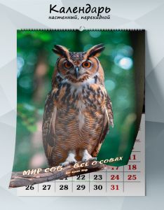 Календарь настенный, перекидной Мир сов – все о совах на 2026 год