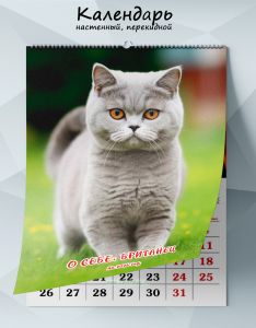 Календарь настенный, перекидной О себе: Британец на 2026 год