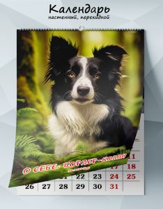Календарь настенный, перекидной О себе: Бордер-колли на 2026 год